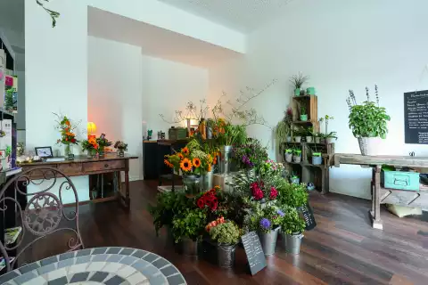 der Blumenladen